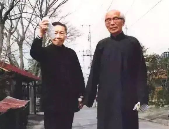 美丽姨太太守寡多年,却为护送嫡子的朋友而怀孕,结局让人叹息