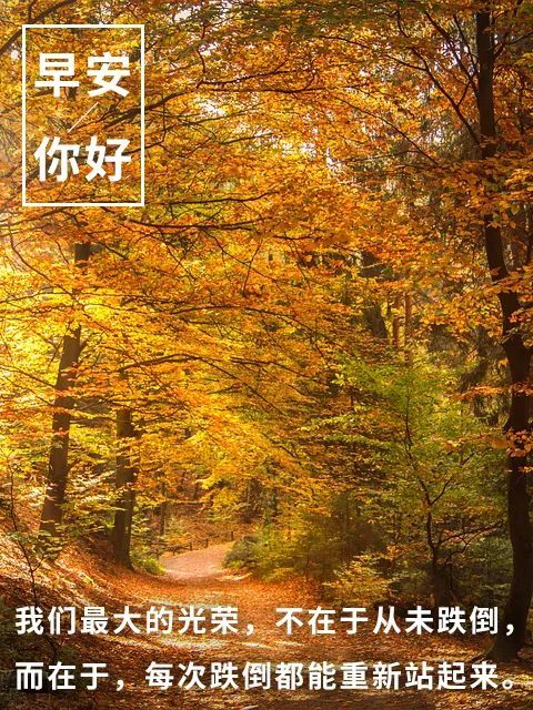早安语录图片带字 早安你好一句话