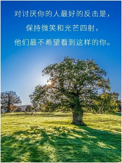 对讨厌你的人最好的反击是,保持微笑和光芒四射,他们最不希望看到这样