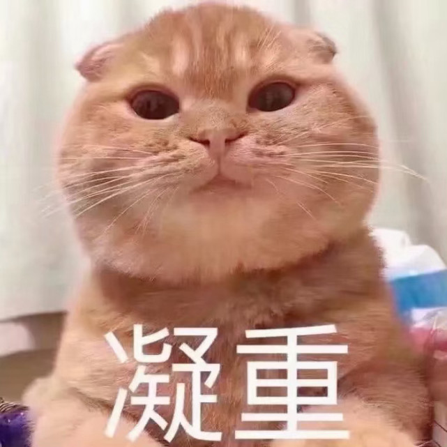 萌宠表情包:关小猫咪什么事呢?