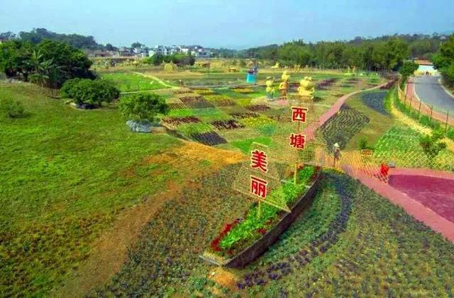 从化人口_从化南海食街(2)
