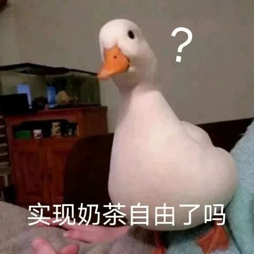 表情包:怂又不服气的眼神