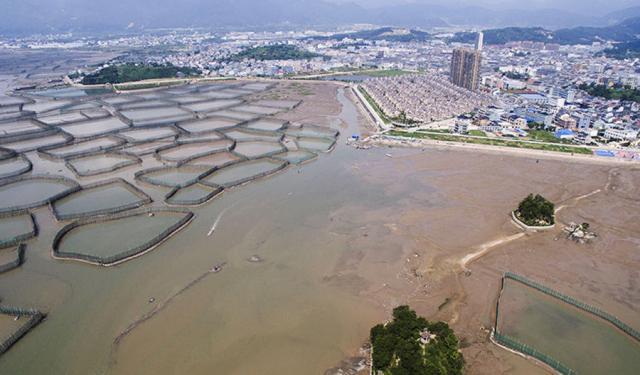 浙江宁波宁海县最大的镇,和奉化区接壤,是全国千强镇|宁波|西店镇