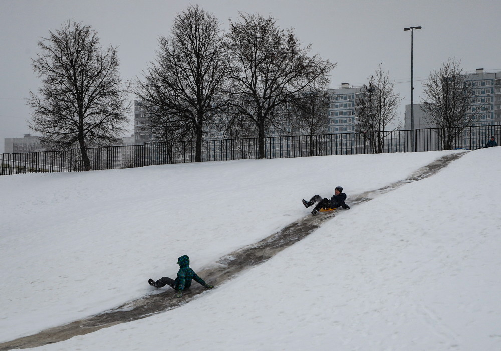 1月21日,孩子们在俄罗斯莫斯科一个公园的雪地上滑雪.新华社/欧新