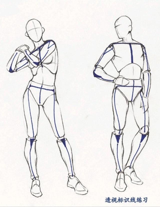 二,人体透视关系分析人体的透视关系可以通过下图几条线作为标识