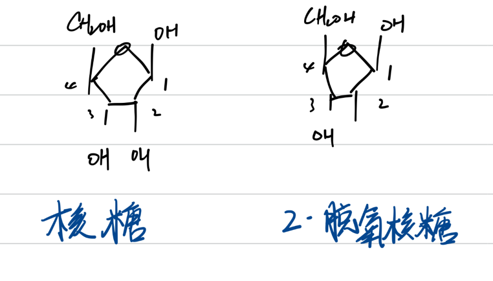 有关基因的一些小知识!