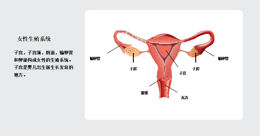 是女性生殖系统中常见的癌症,发病率仅次于子宫颈癌