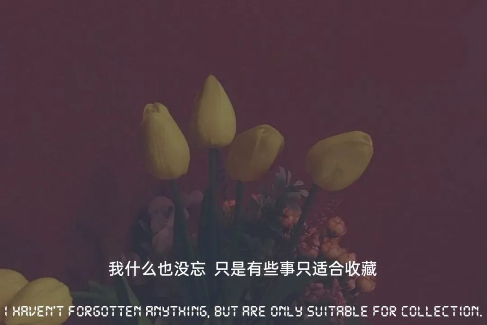 文案配图没有期待的日子反而顺顺利利