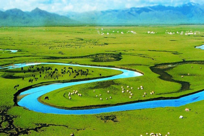 2020年十大gdp大省_2020年各省gdp(2)