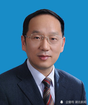 李乐成任湖北省副省长