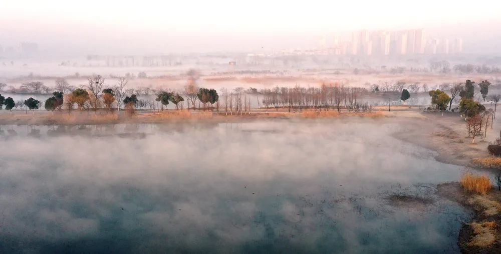 春游江淮请您来丨世界地球日,带你了解不一样的铜陵西湖湿地!