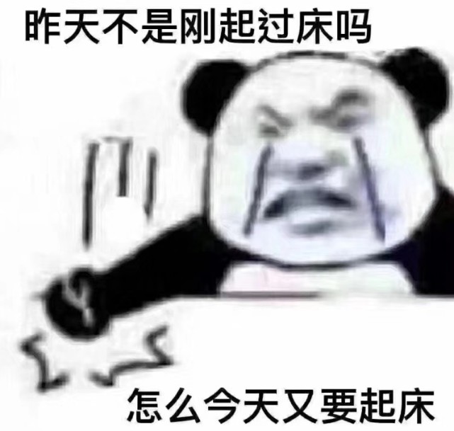 哪些高级自黑又搞笑的文案让你印象深刻