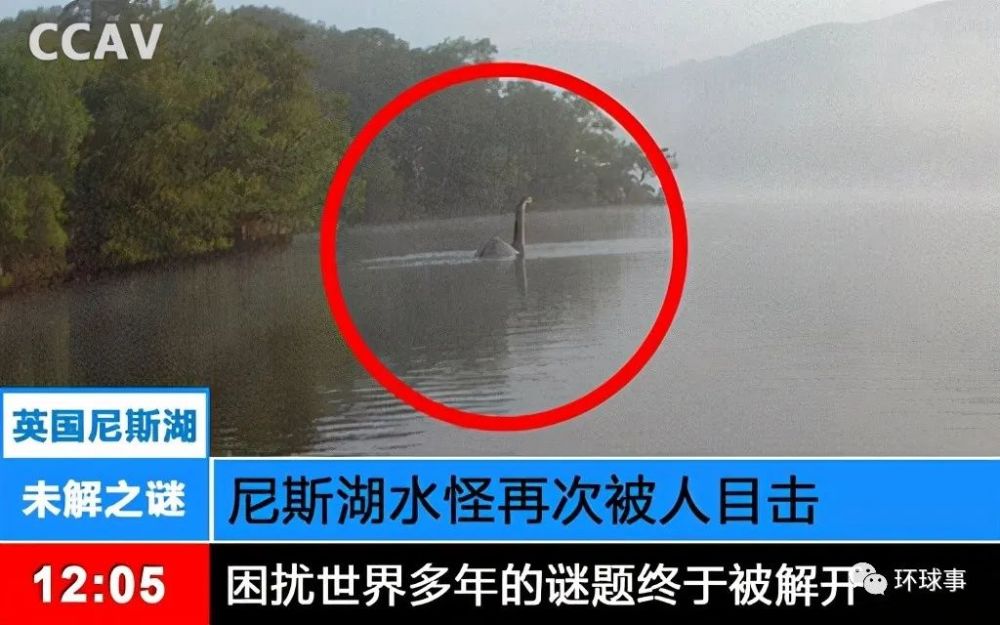 尼斯湖水怪之谜水落石出科学家最新爆料可能是一种未知的龟类