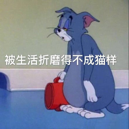 猫和老鼠表情包!