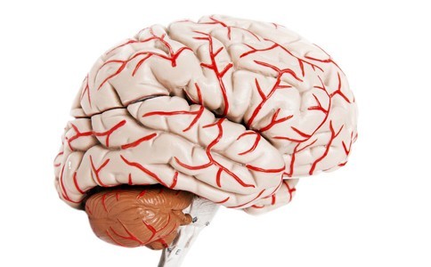 5个坏习惯一直在伤害你的大脑早点揪出来远离脑血栓