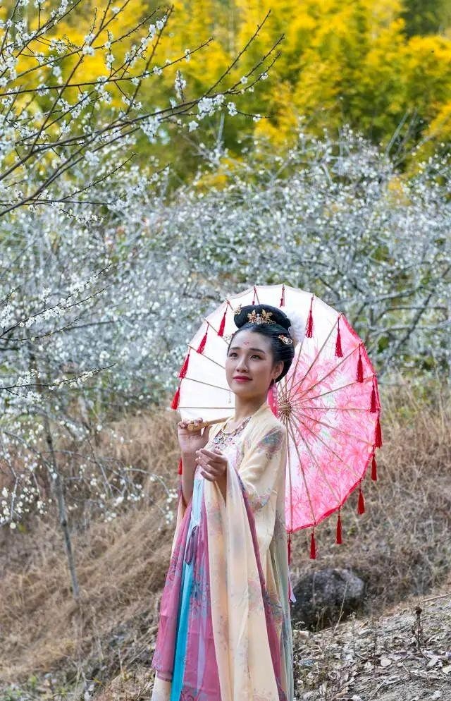 美不胜收!潮州饶平县东明村下起了"梅花雪"