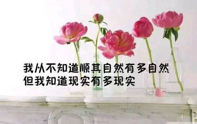 朋友圈很火的心情语录短句,霸气又有杀气!