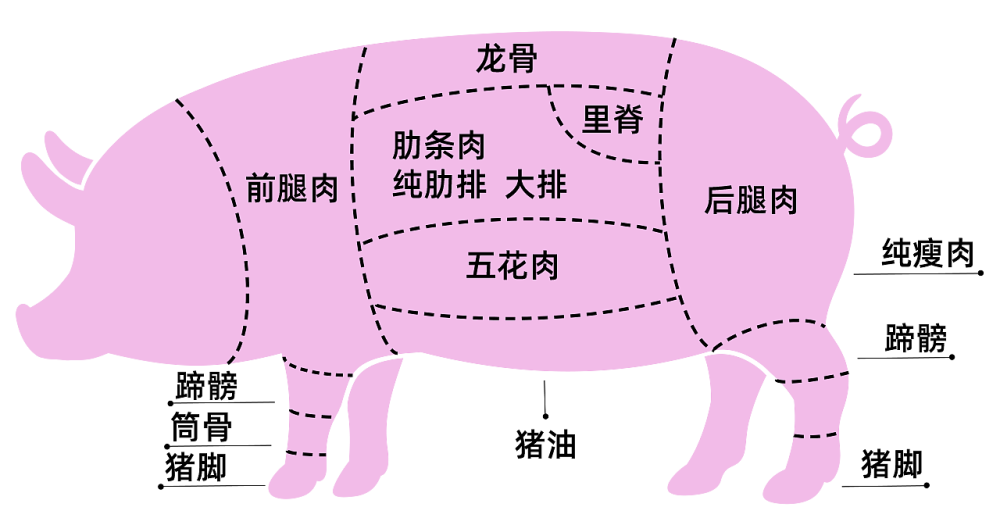 猪肉分割示意图