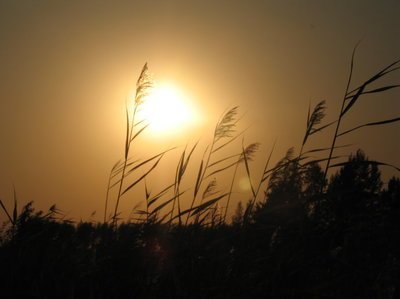 牛家媳妇死了,牛老太太会过得好吗?