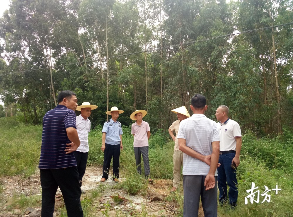 廉江雅塘镇常住人口_廉江雅塘镇