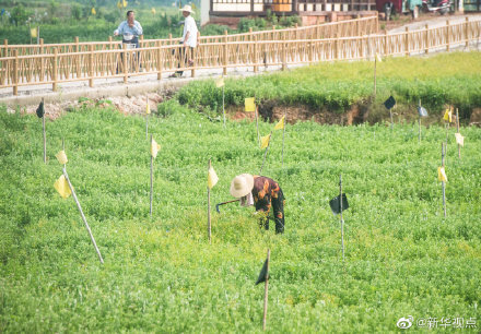 湖北贫困人口_湖北贫困地区图片