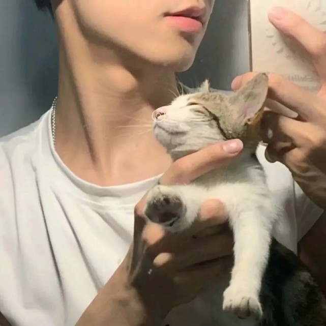 高清头像|猫系男头