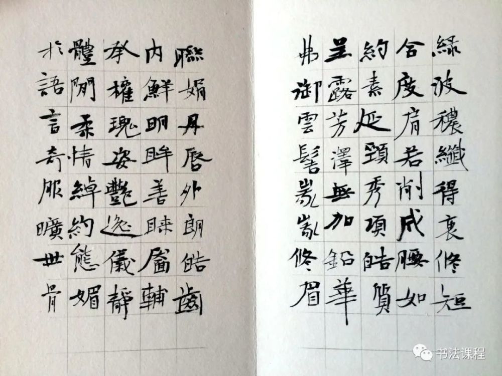 评当代100位书法家91洪厚甜书法是中国哲学之花