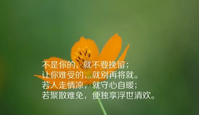 微信很流行的一句话心情说说,越看越喜欢