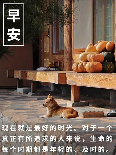 早安心语最新 早安心语正能量句子