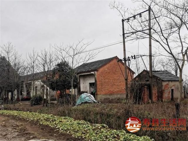 寿县家乡 断壁残垣|寿县|记忆|炎刘镇|新桥村