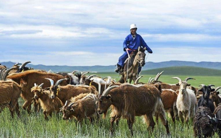 天苍野茫,羊马成群,我在大漠边疆感受游牧民族的豪放与热情