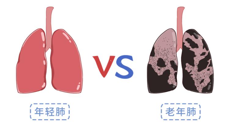 良好的肺功能,是长寿的基石.