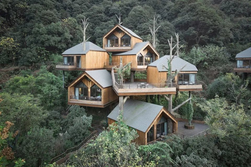 山野间的树屋酒店|树梢之间的一堆小房子