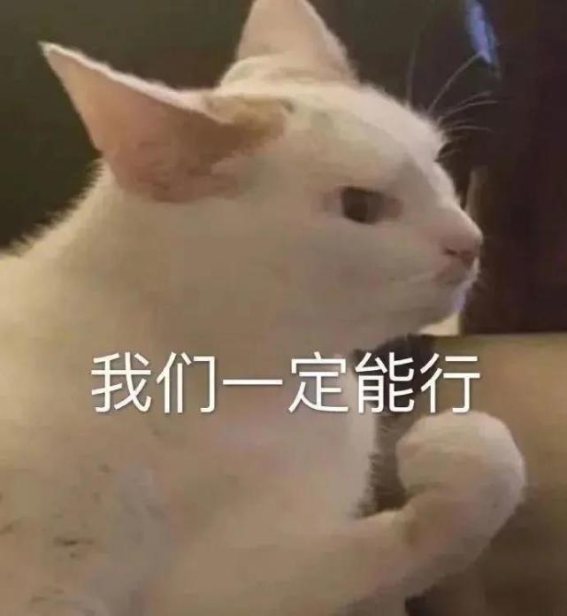 表情包:来自单身狗的羡慕