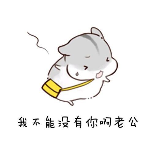 仓鼠表情包老公最帅啦