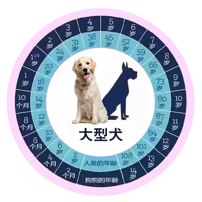 最全狗狗和人的年龄对照表