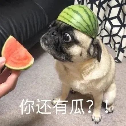 吃瓜表情包最近的瓜香吗