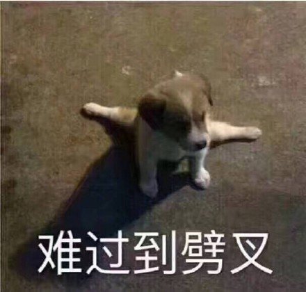 萌宠表情包:偷偷看你,你开心吗?