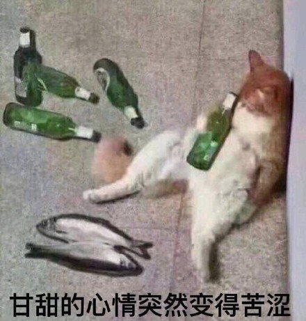萌宠表情包:你馋的我都流口水了!