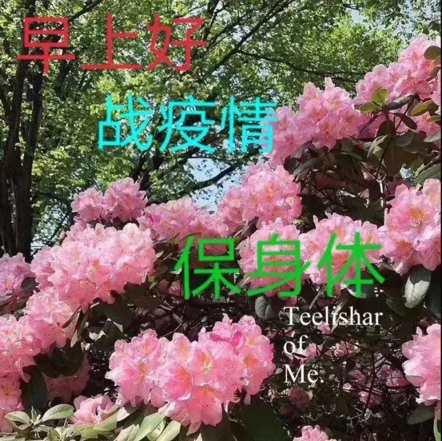 最新抗击疫情防护早安图片带祝福语 疫情非常时期大家保重问候图片