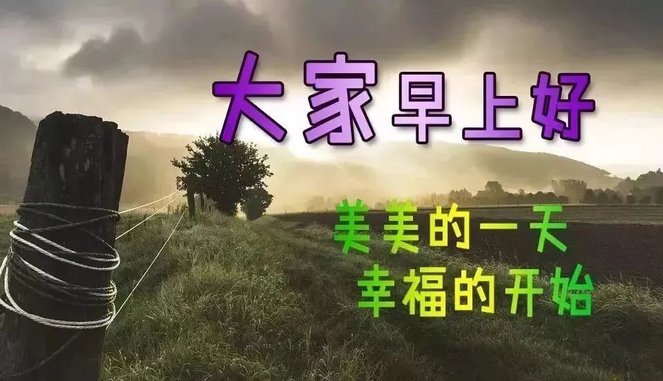 大家早上好,全新版早晨好表情图合集 新版早上好祝福语美女图片