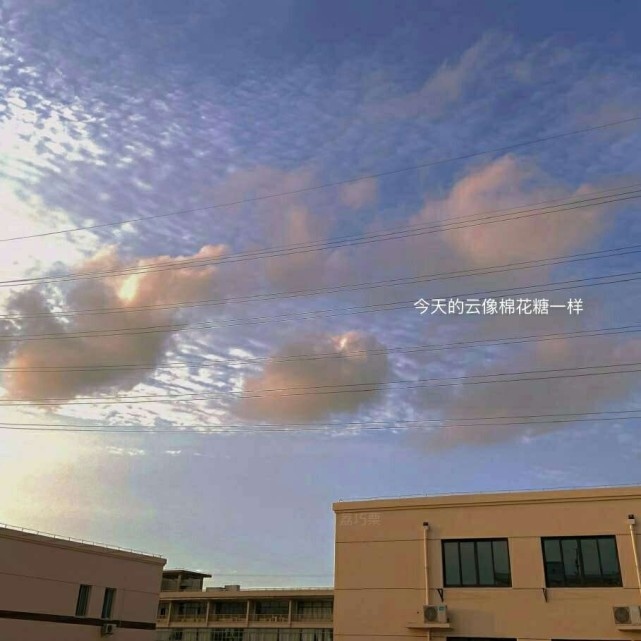 属于女孩子的校园青春文案