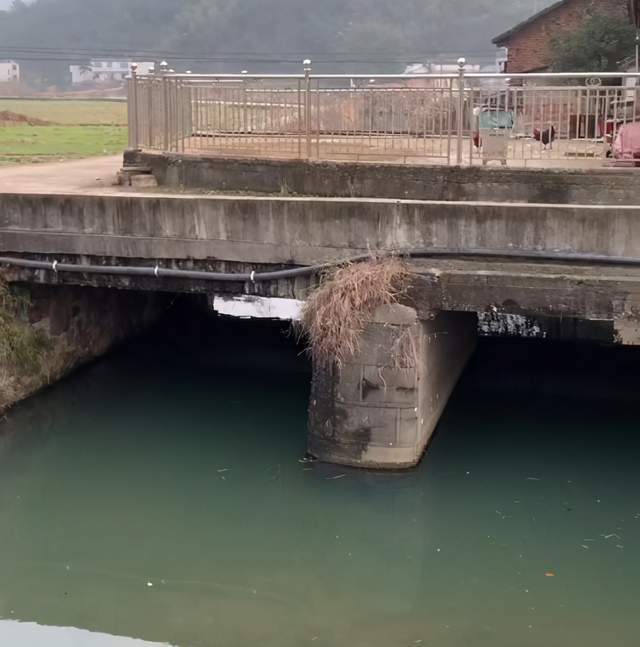姓彭总人口_彭彭(2)