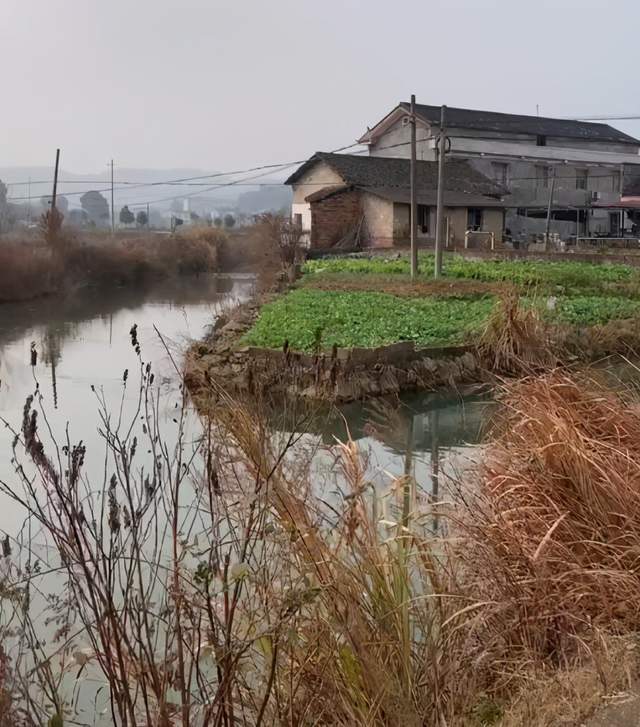 姓彭总人口_彭彭(2)