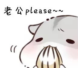 仓鼠表情包:好喜欢老婆