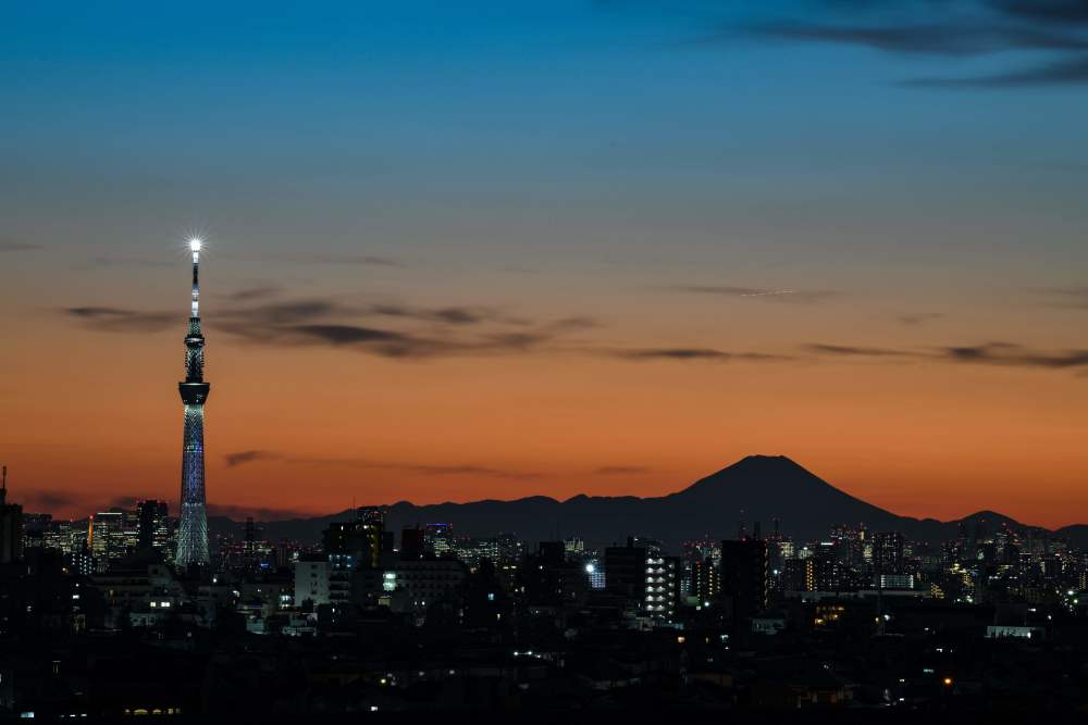 这是1月25日在日本千叶县拍摄的东京晴空塔(又译"天空树")和富士山.