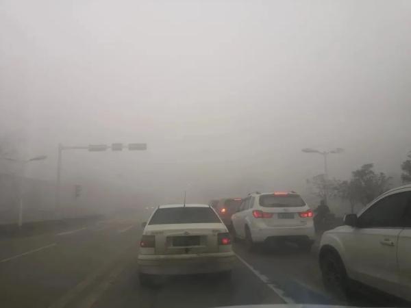 大雾天气雾必谨慎