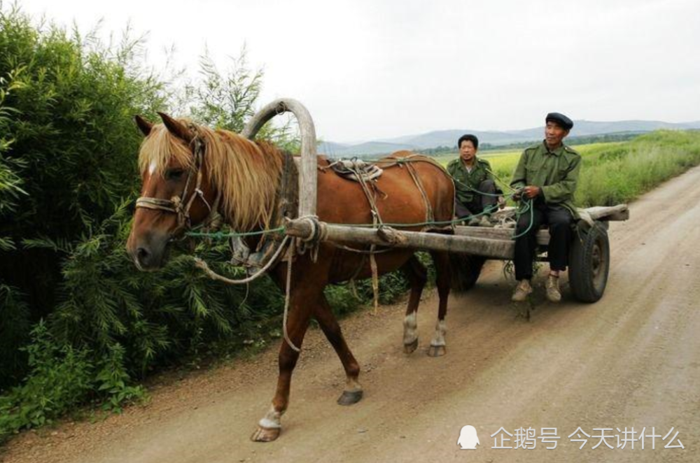 中国古代的交通工具——马车