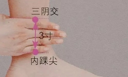 足三里穴和三阴交穴的位置和保健养生美容养颜的关键组合!