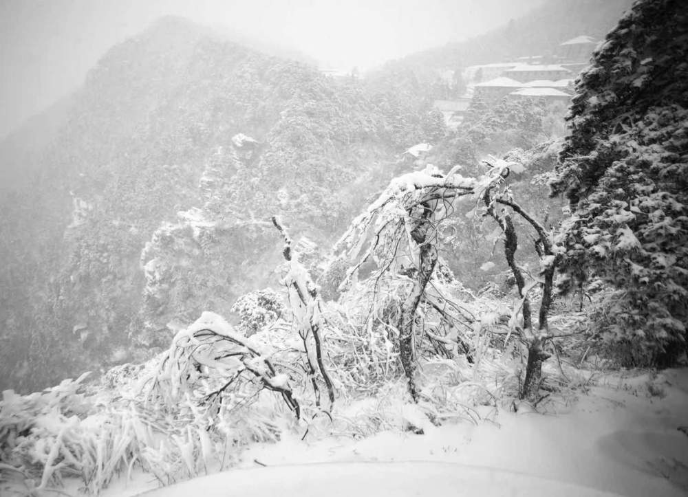 江西庐山雪景